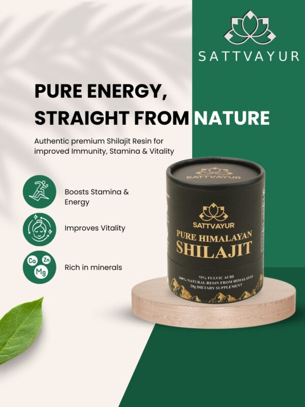 Shilajit Resin