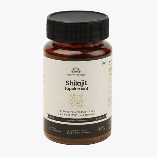 Shilajit Extract Capsules