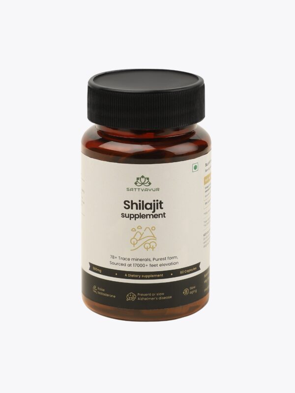 Shilajit Extract Capsules