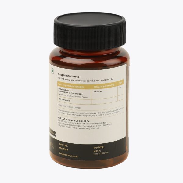 Shilajit Extract Capsules