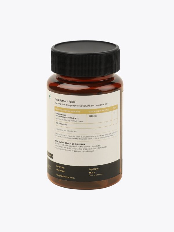 Shilajit Extract Capsules