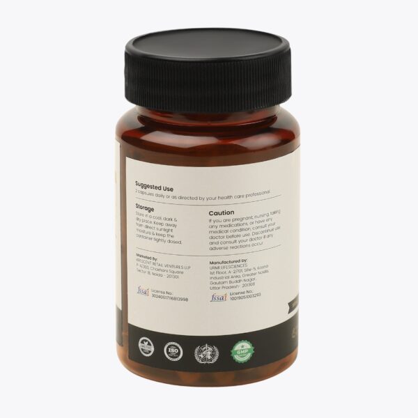 Shilajit Extract Capsules