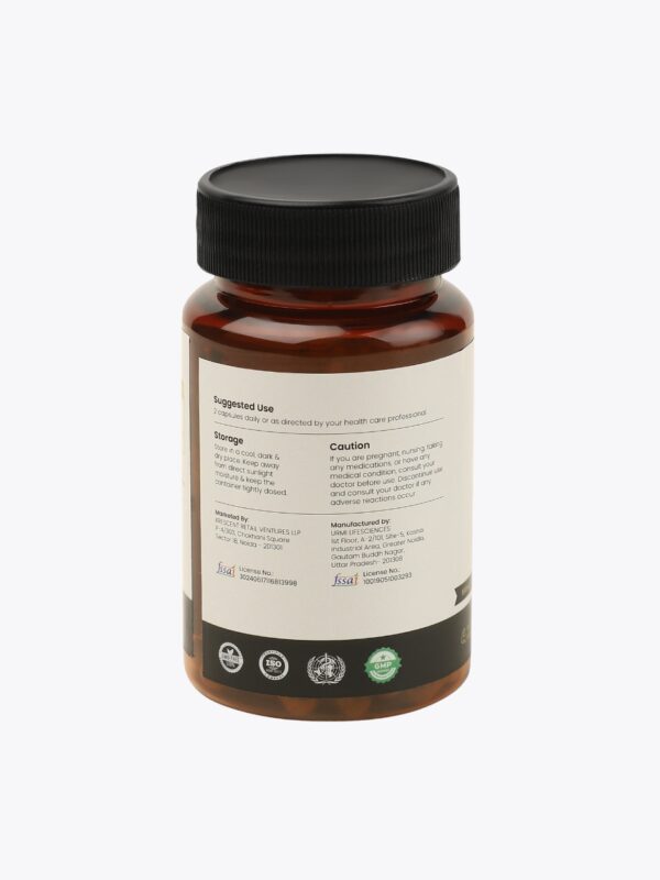 Shilajit Extract Capsules