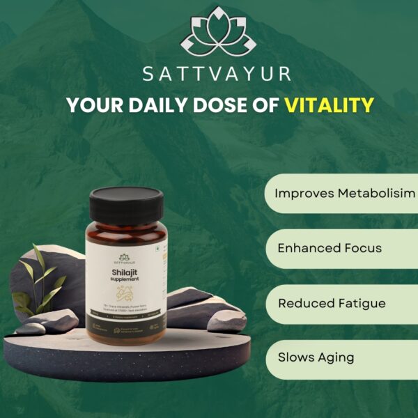 Shilajit Extract Capsules
