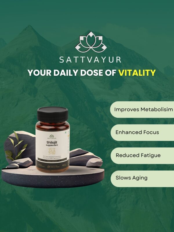Shilajit Extract Capsules