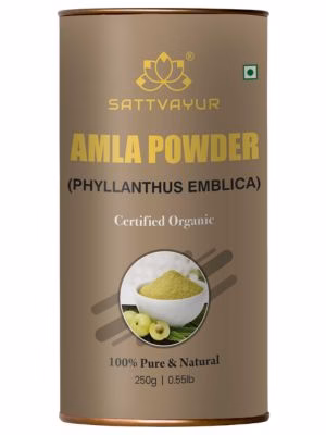 1 Amla Powder | Vitamin C & Immunity Superfood
